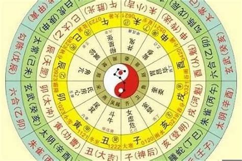 四柱算命|四柱八字排盘